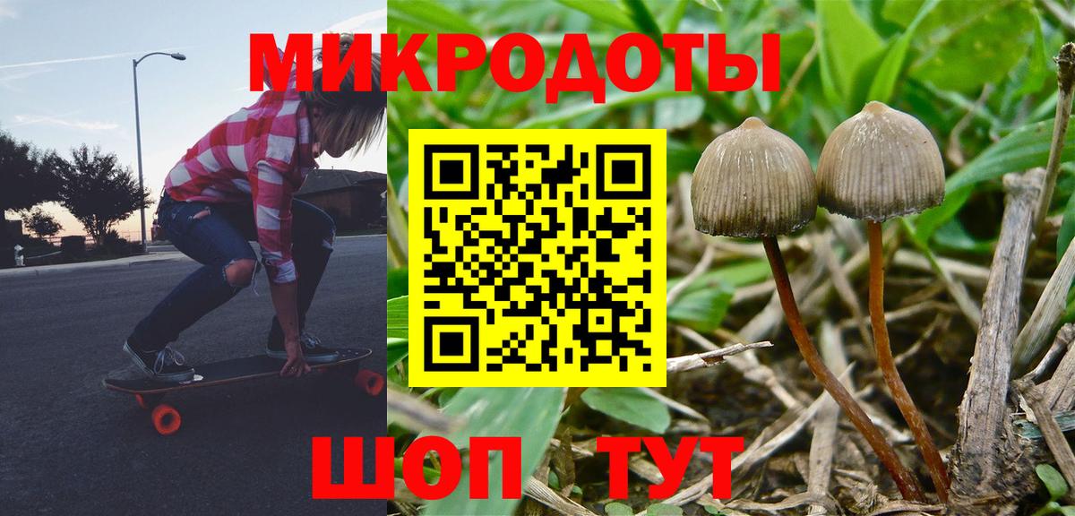 Галлюциногенные грибы мицелий  Вход с VPN  Псилоцибиновые грибы прущие грибы  Кропоткин 